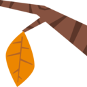 weather,nature,tree,leaf,autumn,fall,tree branch,tree leaf,dry leaf,foliage